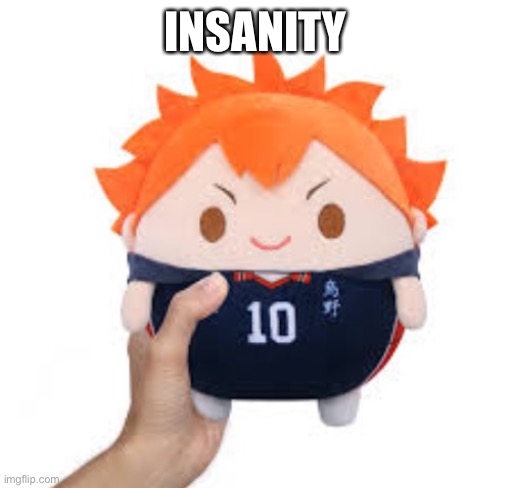 Insanity | INSANITY | image tagged in hinata fuwakororin | made w/ Imgflip meme maker