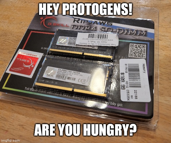 Here's A Scrupmtuous Snack For My Fellow Protogens :3 | HEY PROTOGENS! ARE YOU HUNGRY? | image tagged in simothefinlandized,protogen,funny,furry,memes | made w/ Imgflip meme maker