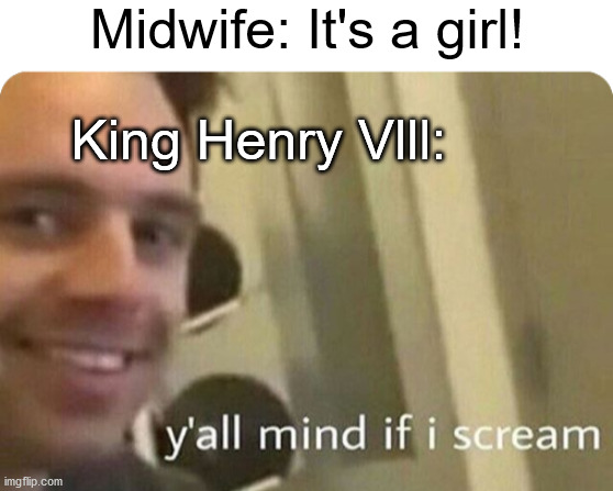 history meme | Midwife: It's a girl! King Henry Vlll: | image tagged in blank white template | made w/ Imgflip meme maker