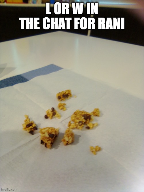Granola Bar June 2020 | L OR W IN THE CHAT FOR RANI | image tagged in granola bar june 2020 | made w/ Imgflip meme maker