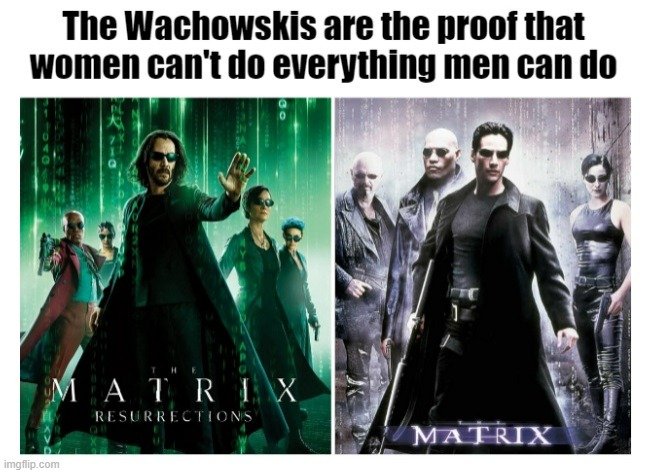 The Matrix | image tagged in the matrix,the wachowskis,the matrix resurrections,lana wachowski,neo,trinity | made w/ Imgflip meme maker