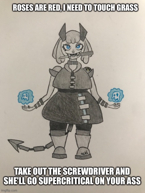 ROSES ARE RED, I NEED TO TOUCH GRASS; TAKE OUT THE SCREWDRIVER AND SHE'LL GO SUPERCRITICAL ON YOUR ASS | made w/ Imgflip meme maker