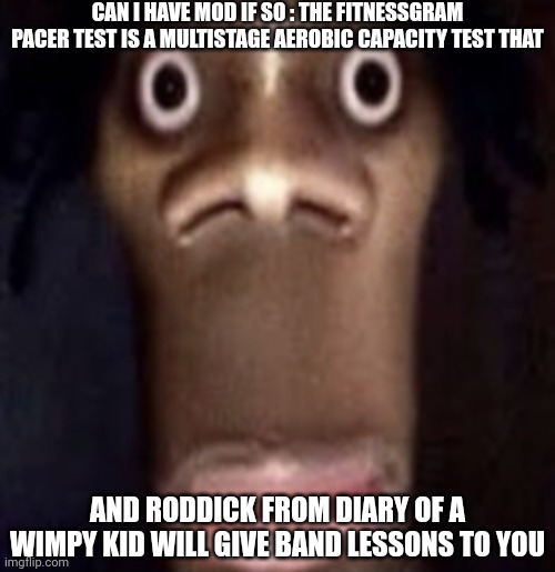 Please | CAN I HAVE MOD IF SO : THE FITNESSGRAM PACER TEST IS A MULTISTAGE AEROBIC CAPACITY TEST THAT; AND RODDICK FROM DIARY OF A WIMPY KID WILL GIVE BAND LESSONS TO YOU | image tagged in quandale dingle | made w/ Imgflip meme maker
