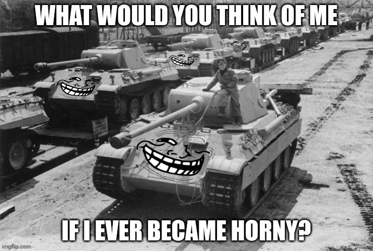 Part 1 | WHAT WOULD YOU THINK OF ME; IF I EVER BECAME HORNY? | image tagged in troll panther | made w/ Imgflip meme maker