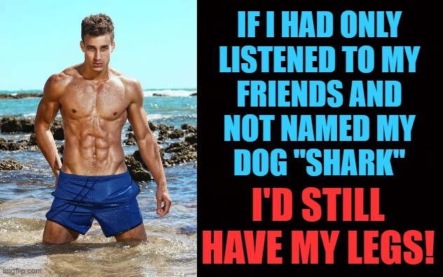 Wide black blank meme template | IF I HAD ONLY
LISTENED TO MY
FRIENDS AND
NOT NAMED MY
DOG "SHARK" I'D STILL HAVE MY LEGS! | image tagged in wide black blank meme template | made w/ Imgflip meme maker
