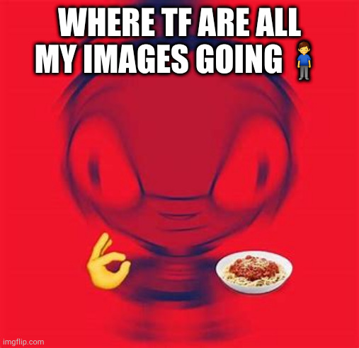they keep deleting themselves or some shit | WHERE TF ARE ALL MY IMAGES GOING🧍‍♂️ | image tagged in spaghite | made w/ Imgflip meme maker