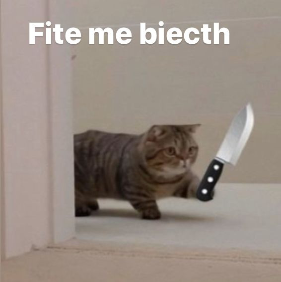 High Quality fite me bietch Blank Meme Template