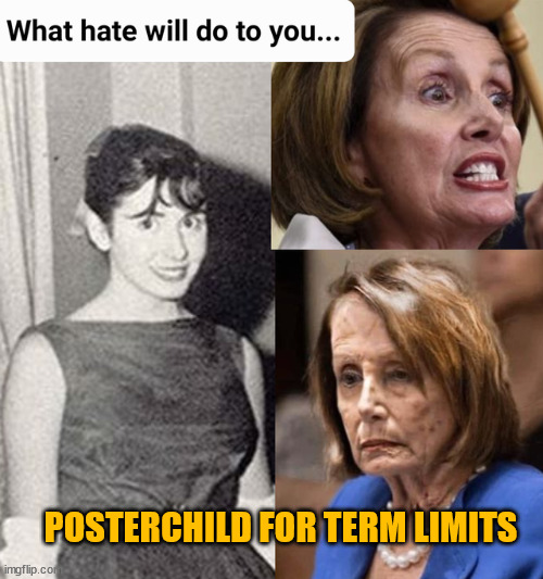 Democrats are the party of haters... Just look at their cult... | POSTERCHILD FOR TERM LIMITS | image tagged in haters | made w/ Imgflip meme maker
