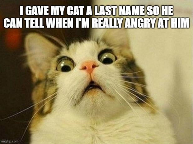 Naming the Cat | I GAVE MY CAT A LAST NAME SO HE
CAN TELL WHEN I'M REALLY ANGRY AT HIM | image tagged in memes,scared cat,cats,cat,funny,funny memes | made w/ Imgflip meme maker