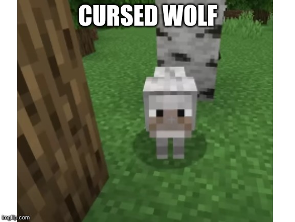 cursed minecraft wolf | CURSED WOLF | image tagged in minecraft,memes,lol,funny,cursed image | made w/ Imgflip meme maker