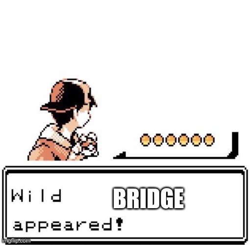 Blank Wild Pokemon Appears | BRIDGE | image tagged in blank wild pokemon appears | made w/ Imgflip meme maker