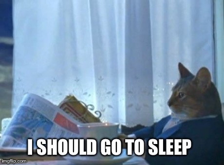 I Should Buy A Boat Cat Meme | I SHOULD GO TO SLEEP | image tagged in memes,i should buy a boat cat,AdviceAnimals | made w/ Imgflip meme maker