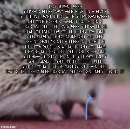 Anywhoozle im fine over here how is everyone i haven't been here in a hot second | THAT MOMENT WHEN YOU'RE 8 HOURS AWAY FROM HOME IN A PLACE YOU DIDN'T WANT TO GO WITH YOUR GRANDPARENT AND YOUR PARENTS HAVEN'T CALLED IN 3 DAYS AND YOU DONT KNOW WHEN YOU'RE GOING HOME OR EVEN HOW YOU'RE GOING HOME AND YOUR SLOWLY GOING INSANE AND YOU KEEP SEEING SHADOWS AND FIGURES AT NIGHT IN THE ROOM YOU'RE STAYING IN AND YOU KNOW THEY'RE NOT REAL BUT YOU CANT SLEEP AND YOU HAVE TO STAY UP UNTIL YOU PHYSICALLY CAN'T ANYMORE AND YOU'RE PRETTY SURE YOU'RE GOING HOME WEDNESDAY BUT EVEN THEN THAT'S IN LIKE 2 MORE DAYS AND YOU'RE GENUINELY LOSING IT | made w/ Imgflip meme maker