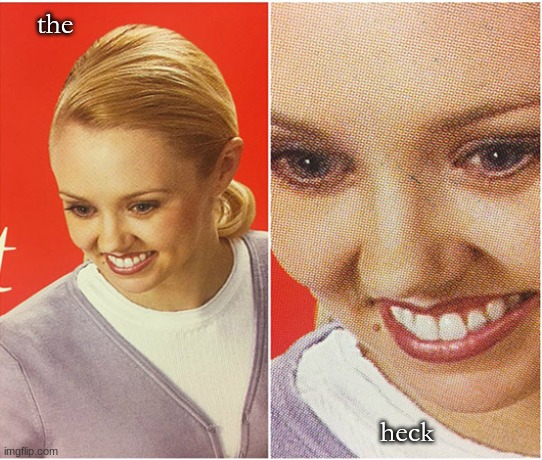 woman smiling | the heck | image tagged in woman smiling | made w/ Imgflip meme maker