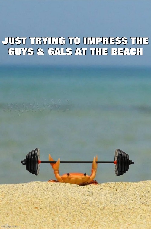 image tagged in crab,beach,working out,lifting weights,pumping iron,ocean | made w/ Imgflip meme maker