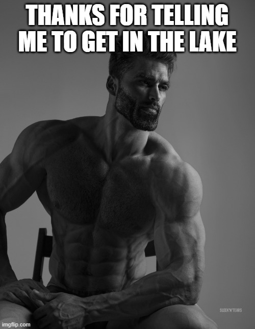 Giga Chad | THANKS FOR TELLING ME TO GET IN THE LAKE | image tagged in giga chad | made w/ Imgflip meme maker