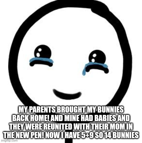 Happy tears  | MY PARENTS BROUGHT MY BUNNIES BACK HOME! AND MINE HAD BABIES AND THEY WERE REUNITED WITH THEIR MOM IN THE NEW PEN! NOW I HAVE 5+9 SO 14 BUNNIES | image tagged in happy tears | made w/ Imgflip meme maker