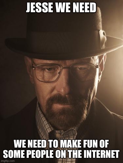 Walter White | JESSE WE NEED WE NEED TO MAKE FUN OF SOME PEOPLE ON THE INTERNET | image tagged in walter white | made w/ Imgflip meme maker