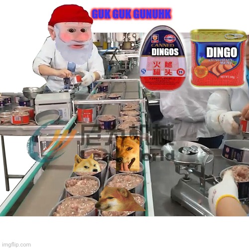 Guk guk gunugk. | GUK GUK GUNUHK; DINGOS; DINGO | image tagged in we started,canning,doggo,too,gnomes | made w/ Imgflip meme maker