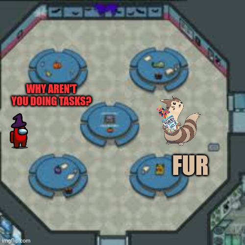 I don't know. Seems pretty sus to me |  WHY AREN'T YOU DOING TASKS? FUR | image tagged in amoung us,furret,visits,the ship,sus | made w/ Imgflip meme maker