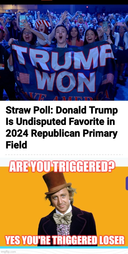 God Emperor Trump | ARE YOU TRIGGERED? YES YOU'RE TRIGGERED LOSER | image tagged in triggered liberal,vote,president trump,republican party | made w/ Imgflip meme maker