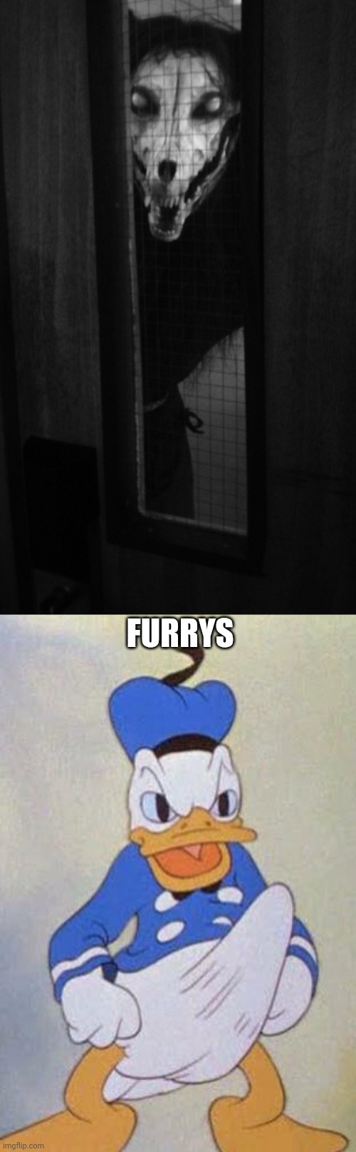 *furries | FURRYS | image tagged in horny donald duck | made w/ Imgflip meme maker