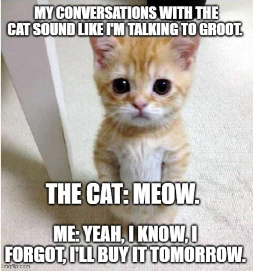 I Am Meow | image tagged in cat,groot,i am groot,guardians of the galaxy,mcu,marvel comics | made w/ Imgflip meme maker