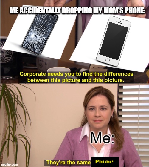 yikes | ME ACCIDENTALLY DROPPING MY MOM'S PHONE:; Me:; Phone | image tagged in memes,they're the same picture | made w/ Imgflip meme maker