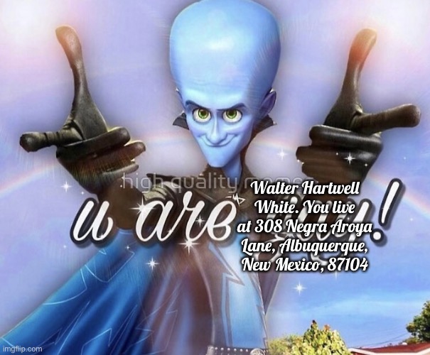 ✨Megamind you are gay✨ | Walter Hartwell White. You live at 308 Negra Aroya Lane, Albuquerque, New Mexico, 87104 | image tagged in megamind you are gay | made w/ Imgflip meme maker