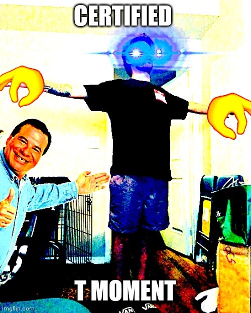 Yub hits a T-Pose | CERTIFIED T MOMENT | image tagged in yub hits a t-pose | made w/ Imgflip meme maker