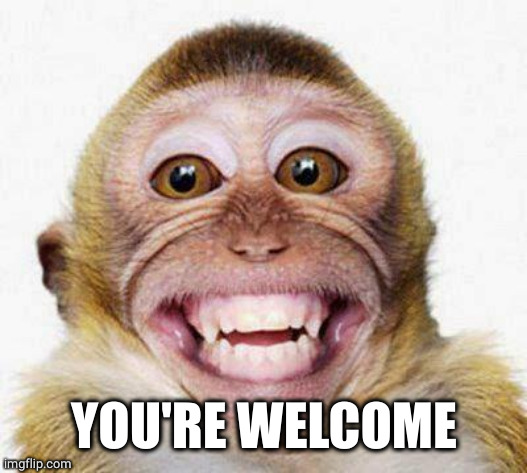 Monkey Smile | YOU'RE WELCOME | image tagged in monkey smile | made w/ Imgflip meme maker