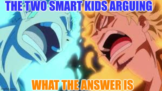 Me who got six | THE TWO SMART KIDS ARGUING; WHAT THE ANSWER IS | image tagged in zoro and sanji hate eachother | made w/ Imgflip meme maker