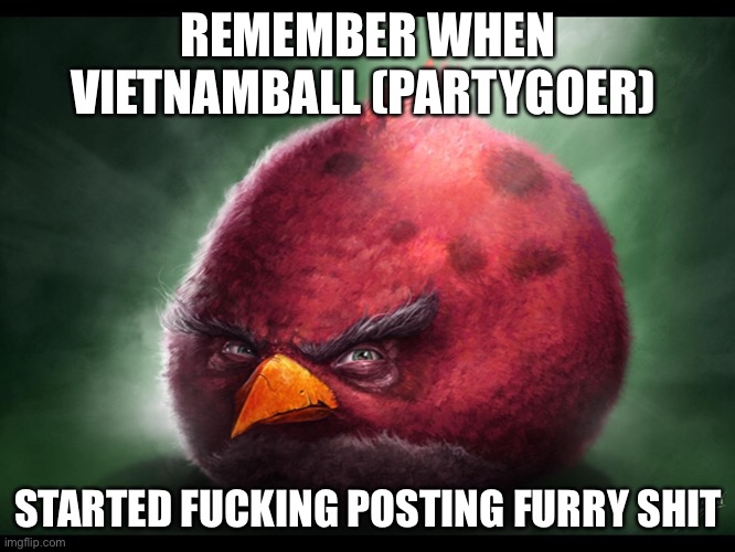 Realistic Angry Bird (big red) | REMEMBER WHEN VIETNAMBALL (PARTYGOER); STARTED FUCKING POSTING FURRY SHIT | image tagged in realistic angry bird big red | made w/ Imgflip meme maker