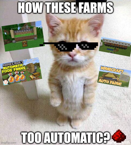 Farms now automatic in 1.11 | HOW THESE FARMS; TOO AUTOMATIC? | image tagged in memes,cute cat,auto,minecraft,farm | made w/ Imgflip meme maker