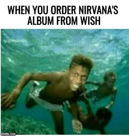 Nirvana | image tagged in nirvana,kurt cobain,nevermind,funny memes,wish,jokes | made w/ Imgflip meme maker