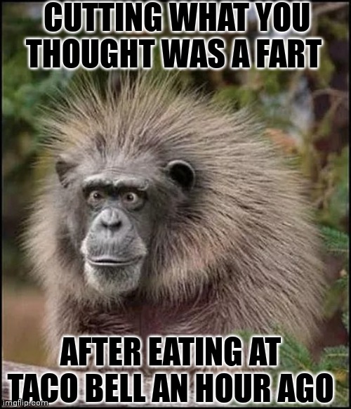 Oops | CUTTING WHAT YOU THOUGHT WAS A FART; AFTER EATING AT TACO BELL AN HOUR AGO | image tagged in whoa | made w/ Imgflip meme maker