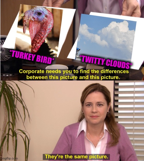 -Thanks for giving. | *TURKEY BIRD*; *TWITTY CLOUDS* | image tagged in memes,they're the same picture,crazy lady turkey head,mushroom cloud,bird box,totally looks like | made w/ Imgflip meme maker
