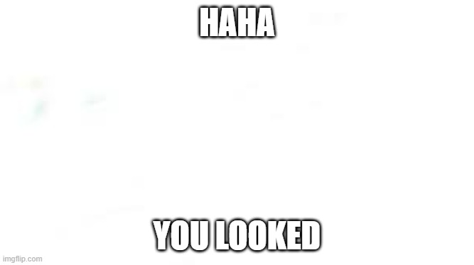 wide white | HAHA; YOU LOOKED | image tagged in wide white | made w/ Imgflip meme maker