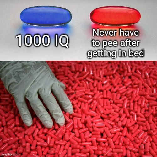 RED |  1000 IQ; Never have to pee after getting in bed | image tagged in blue or red pill,relatable,life,funny memes,funny,memes | made w/ Imgflip meme maker