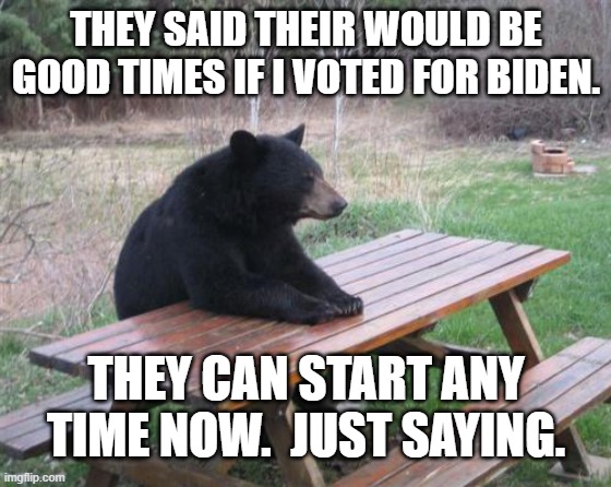 Yep . . . ANY day now . . . . | THEY SAID THEIR WOULD BE GOOD TIMES IF I VOTED FOR BIDEN. THEY CAN START ANY TIME NOW.  JUST SAYING. | image tagged in bad luck bear | made w/ Imgflip meme maker