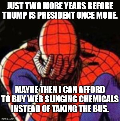 Pssssst. . . a shout-out to clueless leftists . . . it's the economy stupid! | JUST TWO MORE YEARS BEFORE TRUMP IS PRESIDENT ONCE MORE. MAYBE THEN I CAN AFFORD TO BUY WEB SLINGING CHEMICALS INSTEAD OF TAKING THE BUS. | image tagged in memes,sad spiderman,spiderman | made w/ Imgflip meme maker