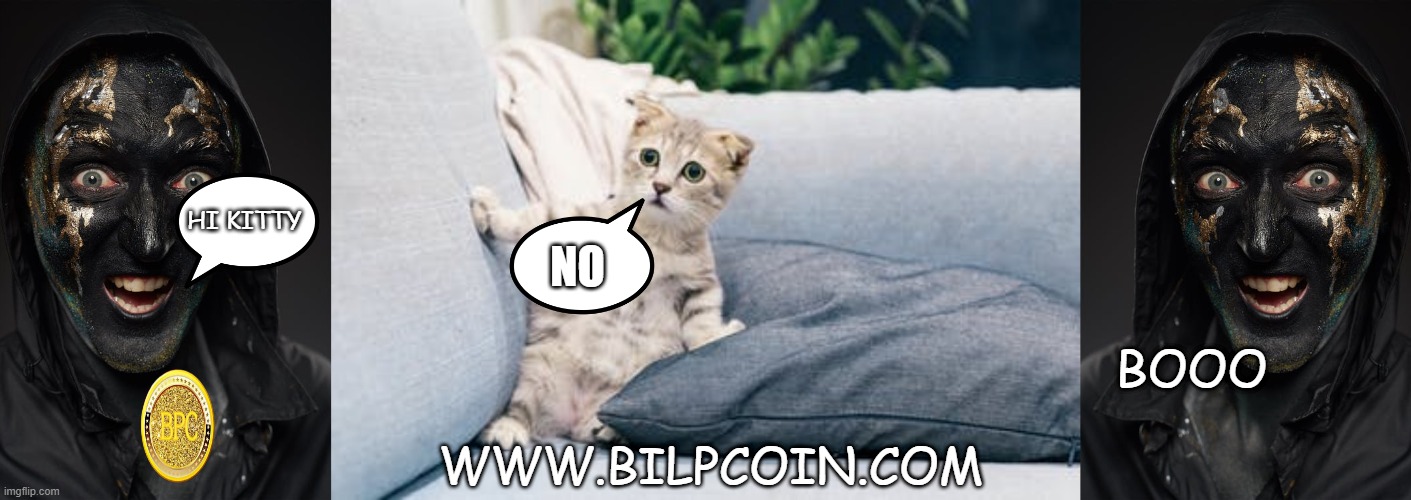 NO; HI KITTY; BOOO; WWW.BILPCOIN.COM | made w/ Imgflip meme maker