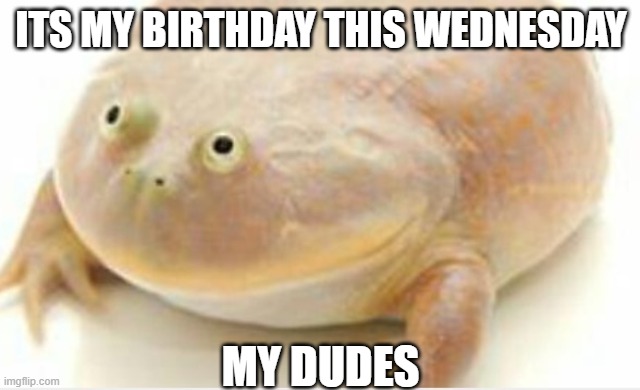 It's Wednesday my dudes |  ITS MY BIRTHDAY THIS WEDNESDAY; MY DUDES | image tagged in it's wednesday my dudes | made w/ Imgflip meme maker