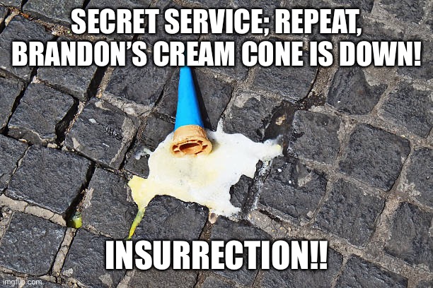 Brandon’s is out | SECRET SERVICE; REPEAT, BRANDON’S CREAM CONE IS DOWN! INSURRECTION!! | image tagged in funny,gifs | made w/ Imgflip meme maker