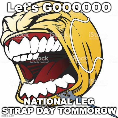 FOR NINTENDO RELEASING THE SWITCH SPORTS LEG STRAP | Let's GOOOOOO; NATIONAL LEG STRAP DAY TOMMOROW | image tagged in let's go ball,nintendo | made w/ Imgflip meme maker