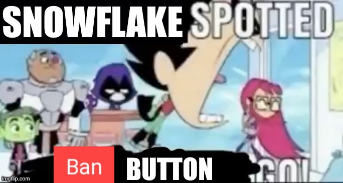 ____ spotted ____ go! | SNOWFLAKE; BUTTON | image tagged in ____ spotted ____ go | made w/ Imgflip meme maker