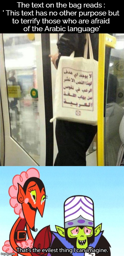Brutal | The text on the bag reads : 
' This text has no other purpose but 
to terrify those who are afraid 
of the Arabic language' | image tagged in thats the most evilest thing i can imagine,arabic,text | made w/ Imgflip meme maker