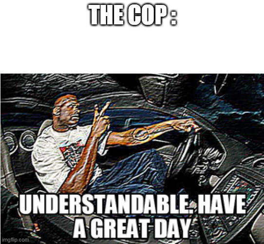 UNDERSTANDABLE, HAVE A GREAT DAY | THE COP : | image tagged in understandable have a great day | made w/ Imgflip meme maker