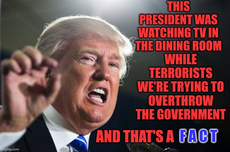 He Protects No One But Himself | THIS PRESIDENT WAS WATCHING TV IN THE DINING ROOM; WHILE TERRORISTS WE'RE TRYING TO OVERTHROW THE GOVERNMENT; F A C T; AND THAT'S A  F A C T | image tagged in donald trump,predator,loser,traitor,lock him up,memes | made w/ Imgflip meme maker