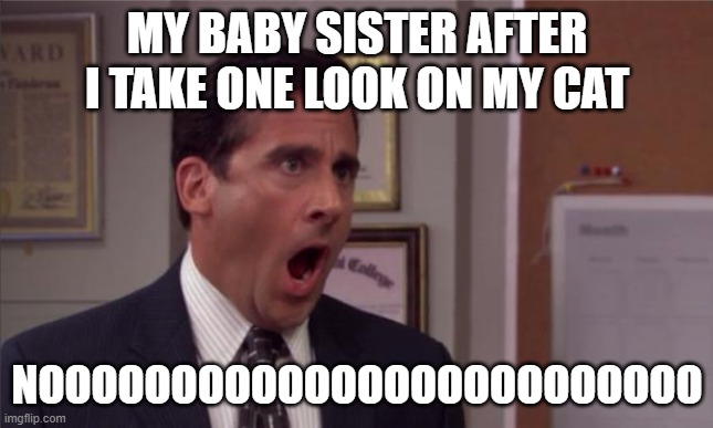 noooooo | MY BABY SISTER AFTER I TAKE ONE LOOK ON MY CAT; NOOOOOOOOOOOOOOOOOOOOOOOOO | image tagged in noooooo | made w/ Imgflip meme maker